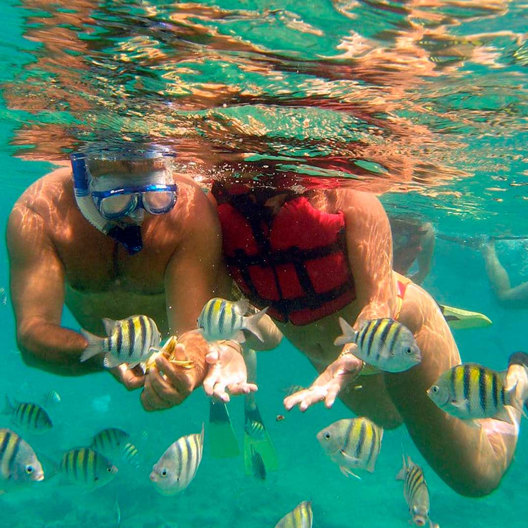 PUNTA-CANA-ECO-EXPLORATION-Discover-the-Natural-and-Cultural-Riches-of-the-Caribbean-5