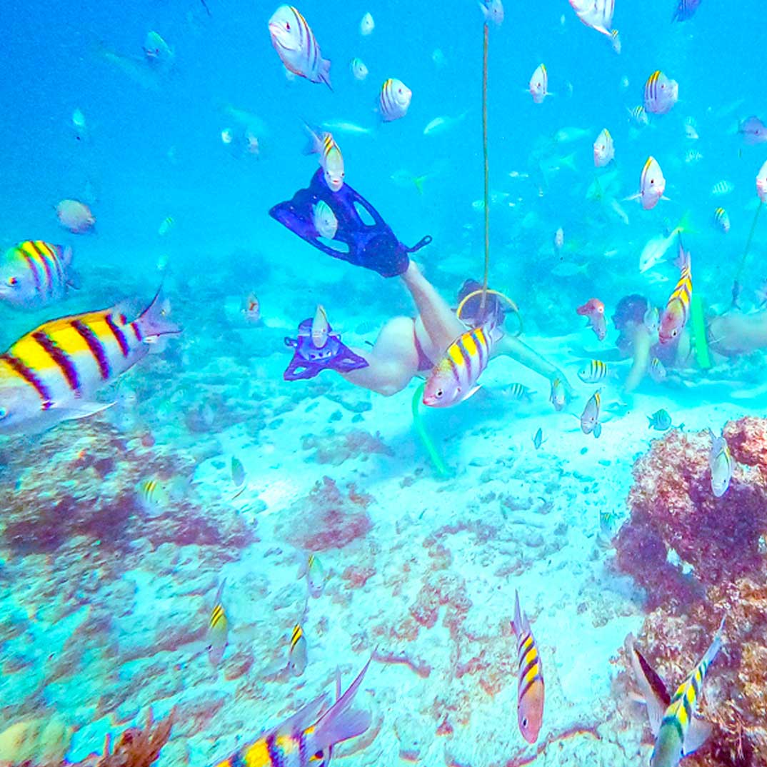 PUNTA-CANA-SKY-&-SEA-ADVENTURE-Parasailing,-Hooka-Diving-and-Snorkeling-Experience-1