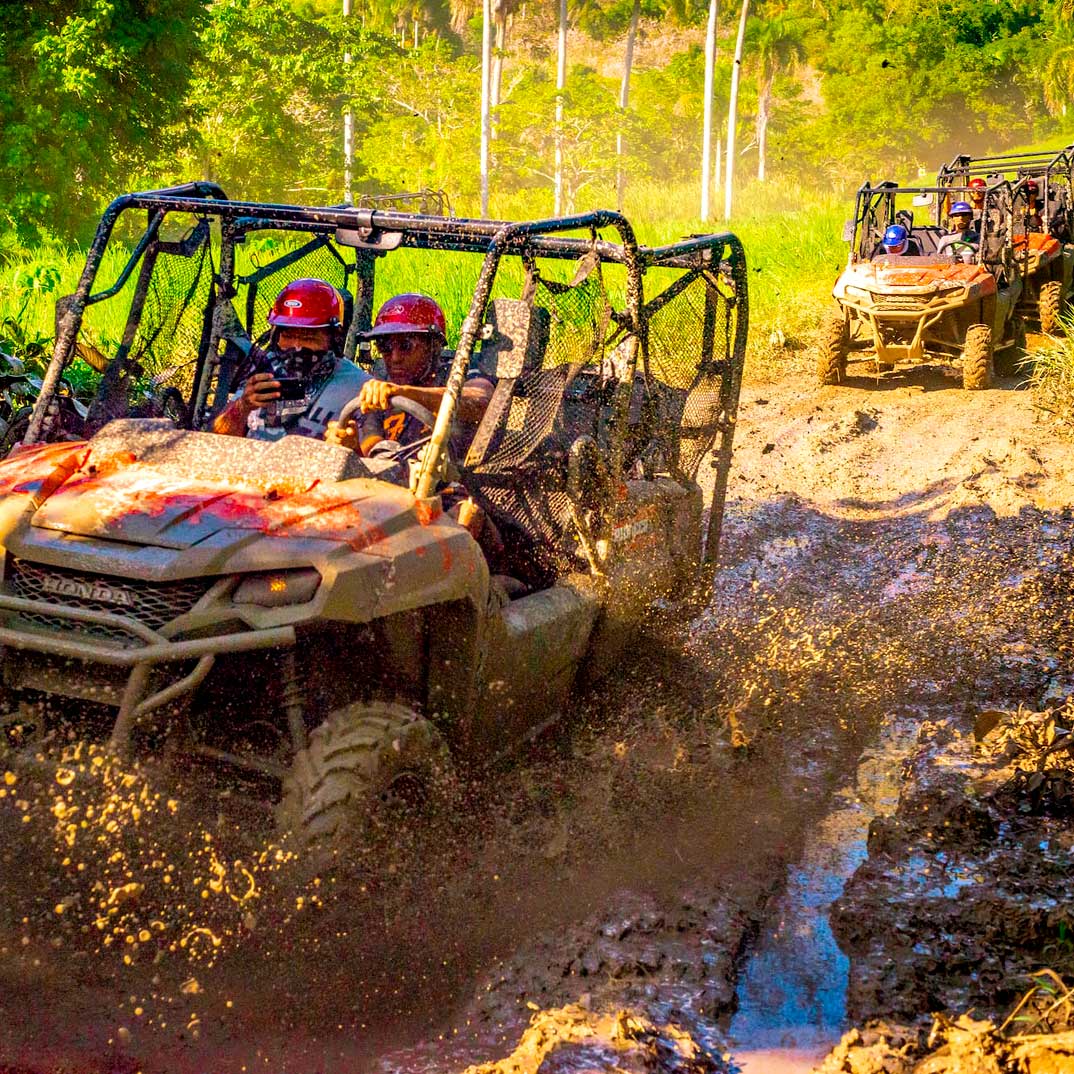 ULTIMATE-BUGGIES-AND-MONKEYS-EXPERIENCE-COMBO-3