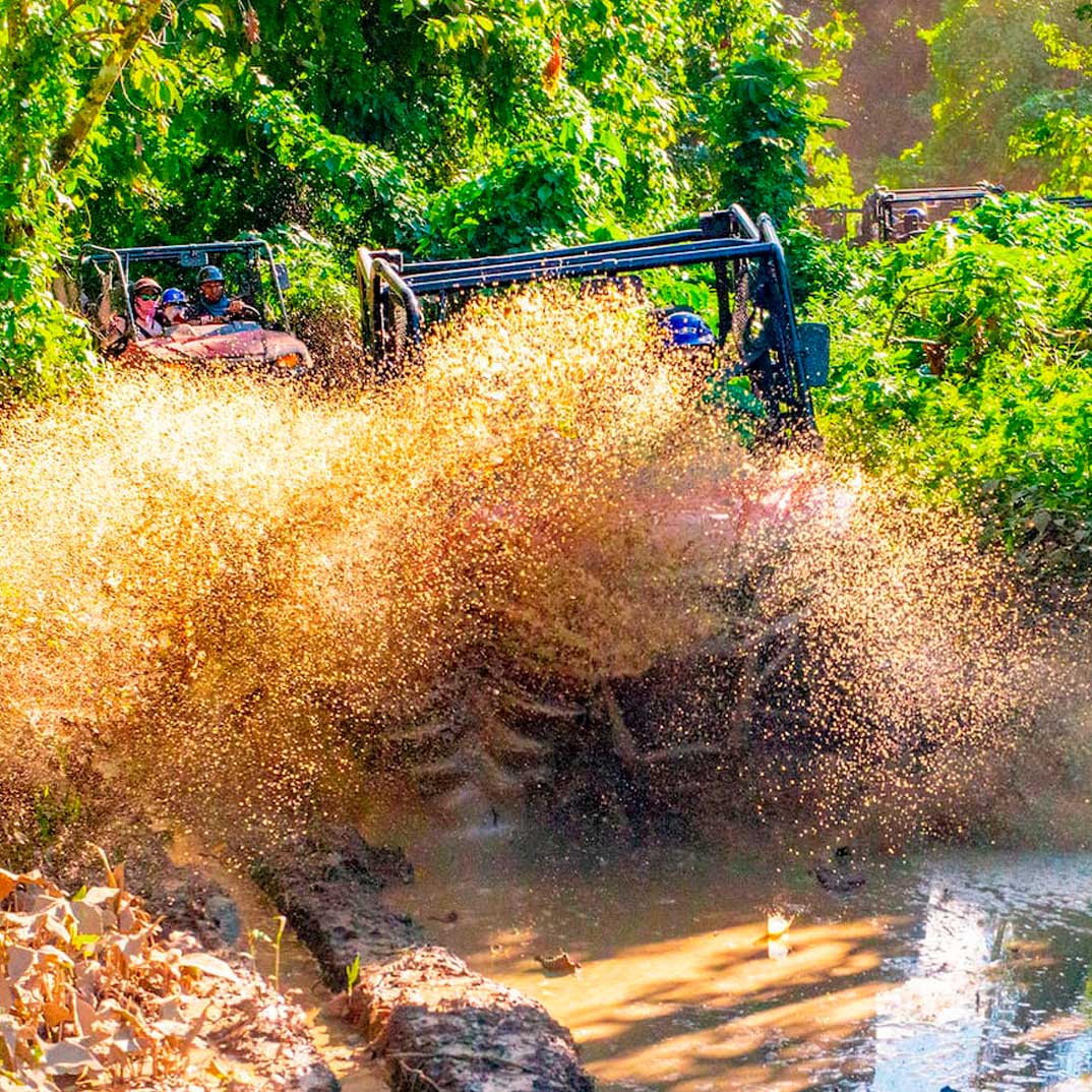 ULTIMATE-BUGGIES-AND-MONKEYS-EXPERIENCE-COMBO-5