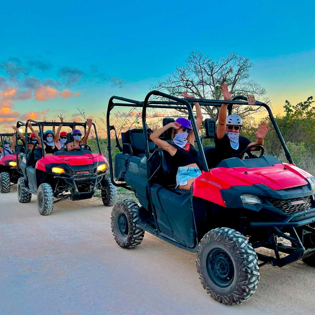 Unveil-Nature’s-Nighttime-Magic-with-NIGHTFALL-BUGGIES!-4