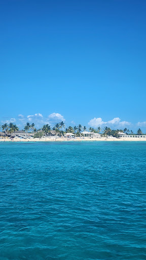 Photo from customer review