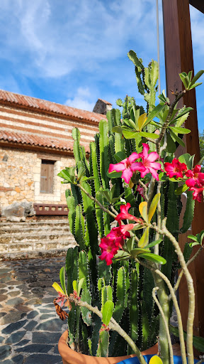 Photo from customer review