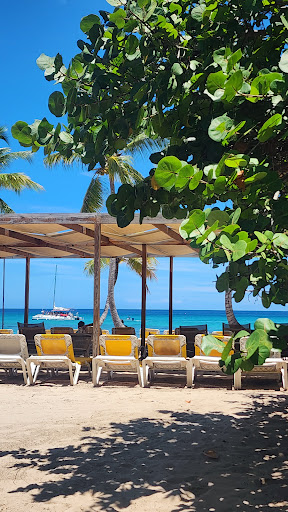 Photo from customer review