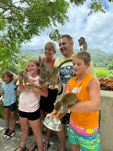 Photo from customer review