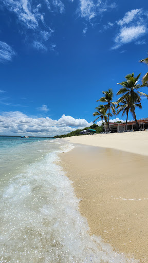 Photo from customer review