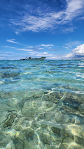 Photo from customer review